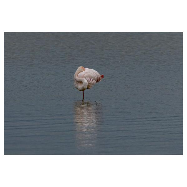 PHOTO84, CLUB, 84 , LUBERON